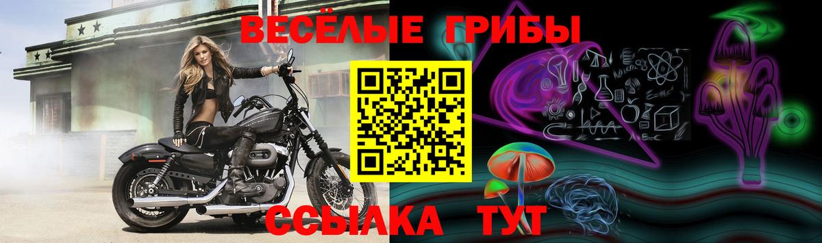 Галлюциногенные грибы Magic Shrooms Чебоксары